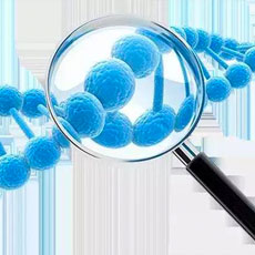 你对肽冻龄的疑问？