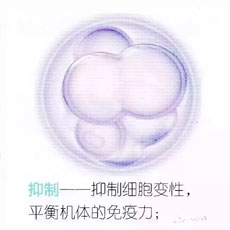 肽类物质正在走进我们的现实世界……